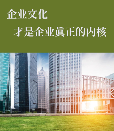 高端碳纤木门定制方案：从选材到安装的全流程服务解析
